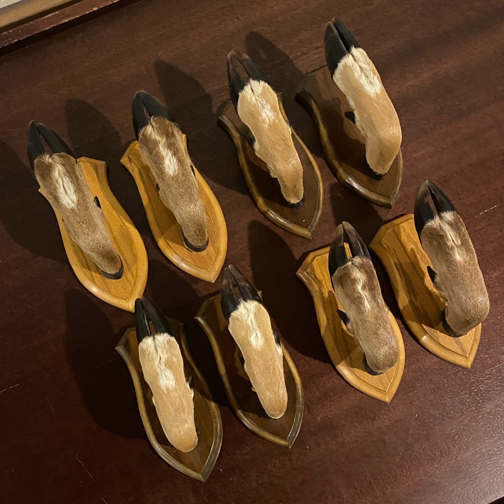 Set of TWO vintage real deer hoof wall mount hooks in walnut finish